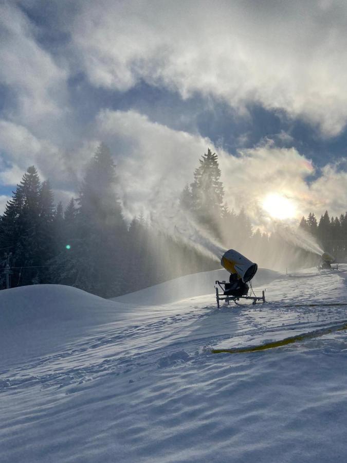 Ubytování Skipot Potucky Esterno foto